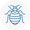 Bed Bug Extermination In Headington