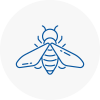 Bee Nest Removal Headington