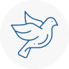 Bird Prevention Headington
