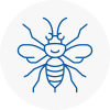 Headington Hornet Nest Removals