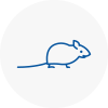 Mice Exterminators In Headington