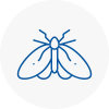 Moth Control Specialists In Headington