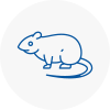 Rat Control Headington