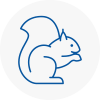 Headington Rodent Removals