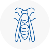 Headington Wasp Nest Removal